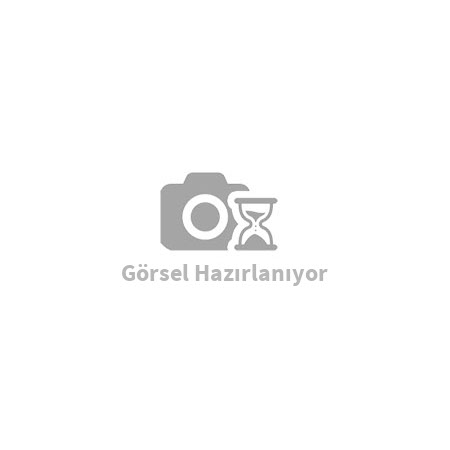 Erik Birton Bodur meyve fidanı  1 yaş Açık kök